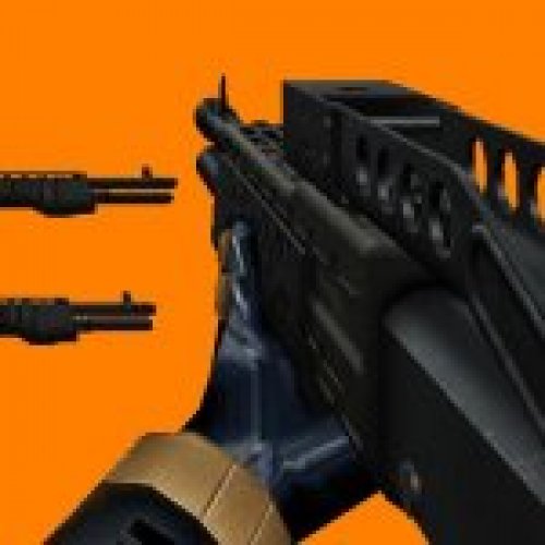 Two SPAS-12
