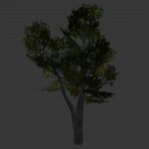 zalec_tree1.mdl