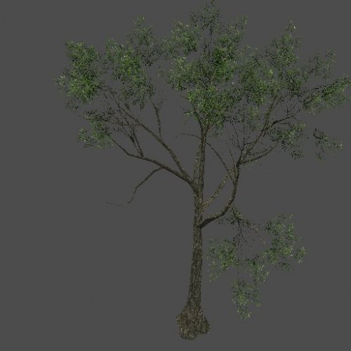S_ENV_TreeSize03_yellow