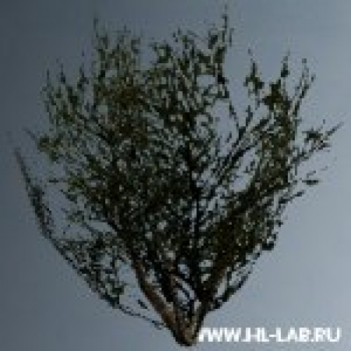 vts_kust.mdl
