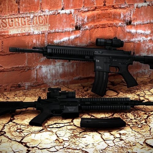 Twinke_and_AcidSnake_HK416
