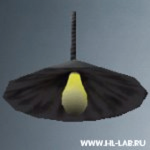 light01