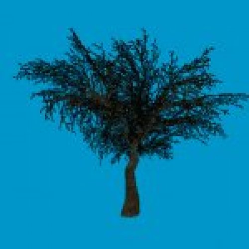 jn_eviltree_02_03_bb