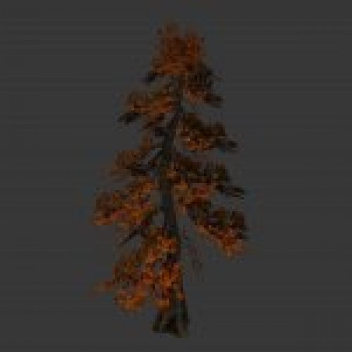 tree_japan_maple_orange.mdl