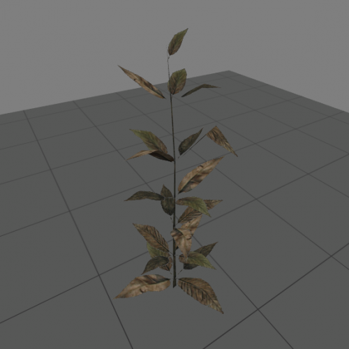plant5
