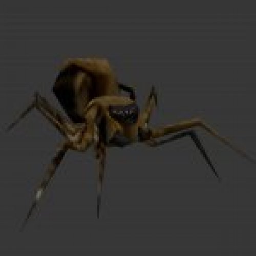 spider.mdl
