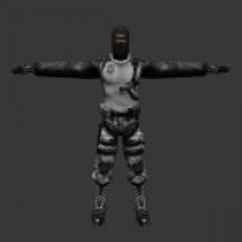 arctic_x