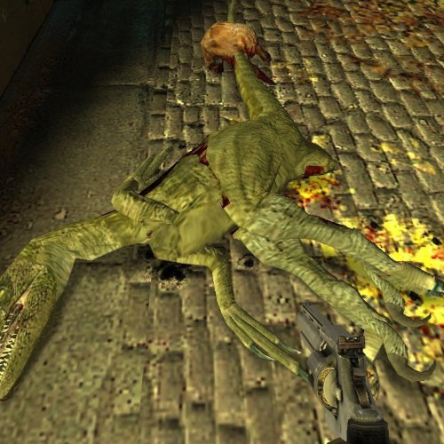 Raptor For Fast Zombie