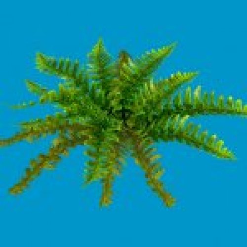 jn hollyfern 02