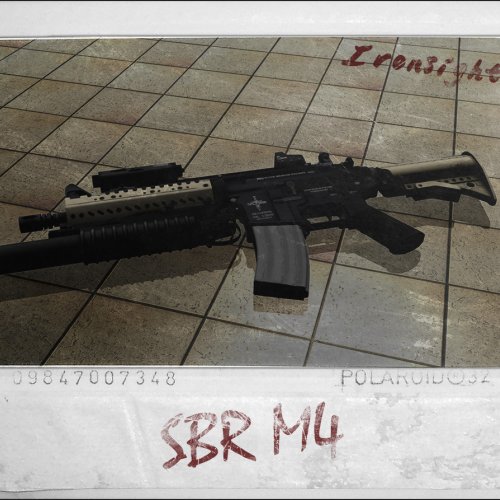 Ironsighted_SBR