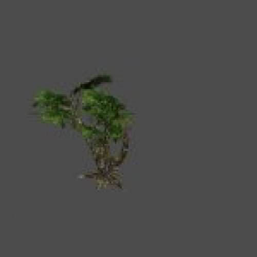 tree05