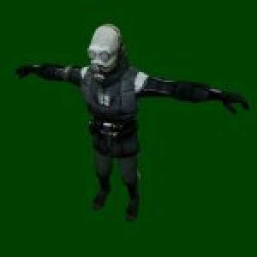 HL2 Metro Police