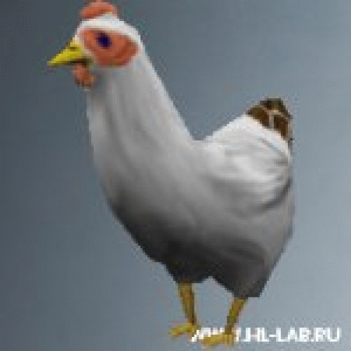 chicken01.zip