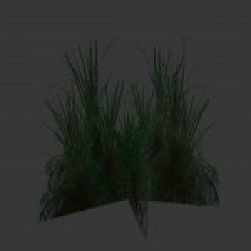 smallgrass2.mdl