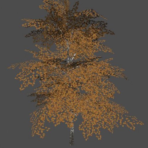 mex_bereza_yellow_2