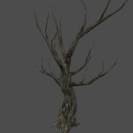 got_Olive_Trunk