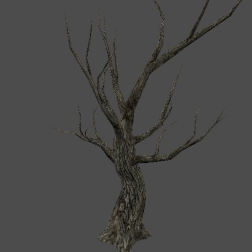got_Olive_Trunk