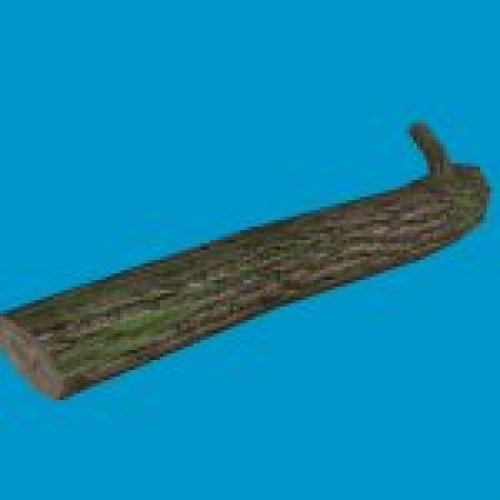 wood b