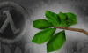 Parts of plants