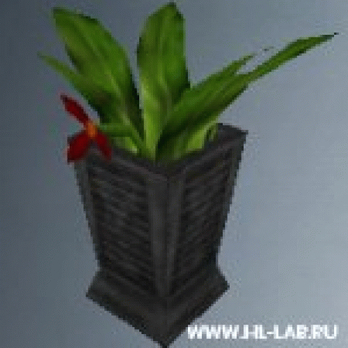 pot_flowers3