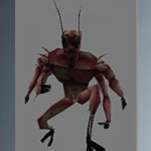 cockroach