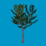 tree3_lod1