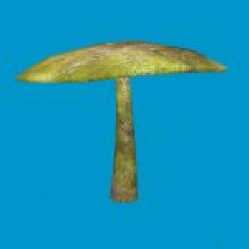 sta_mushroom_02