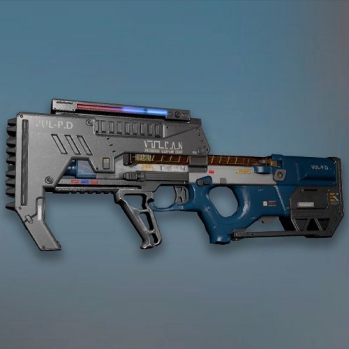 P90 police