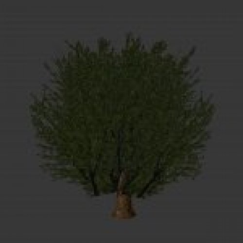 treeski4.mdl