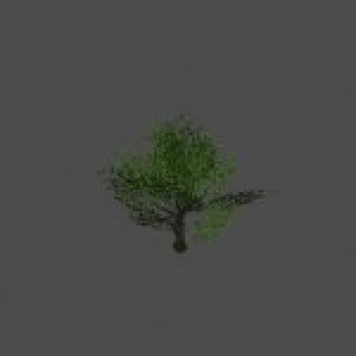 tree31
