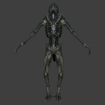Xeno Soldier