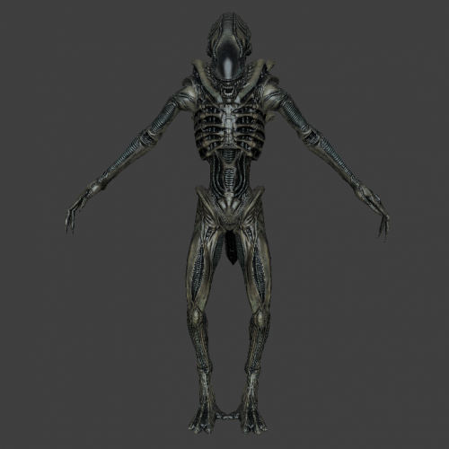 Xeno Soldier
