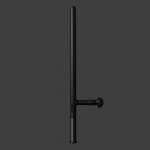 Police Baton