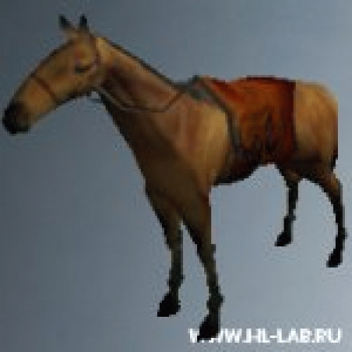 horse.zip