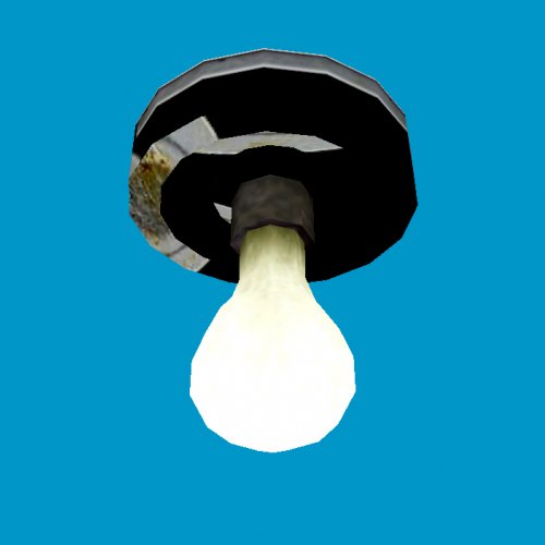 ceiling light