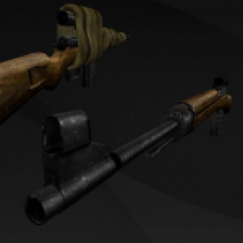 Gewehr-43 (2 variations)