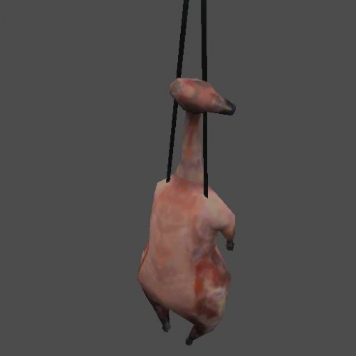 hangingDuck