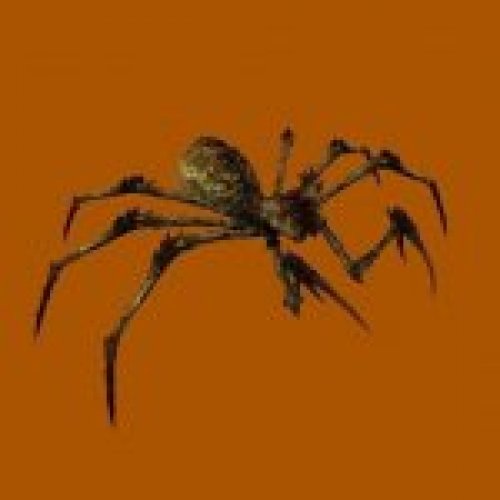 Spider Mutant