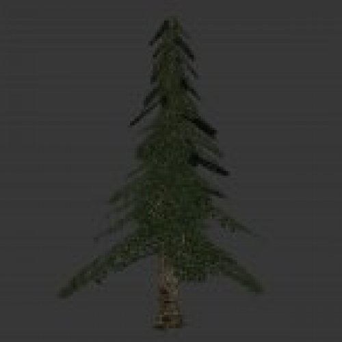 pine_tree.mdl