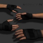 Arizona_s_Palm