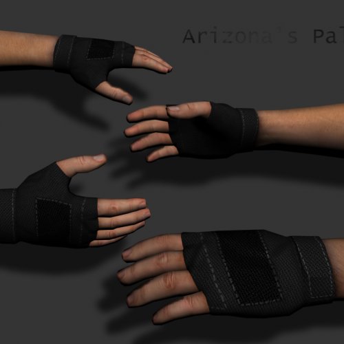 Arizona_s_Palm