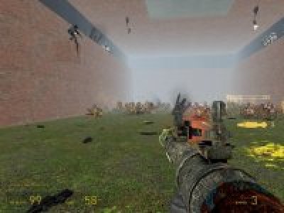 Combine vs Antlions