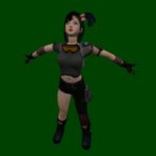 Bulma Punk