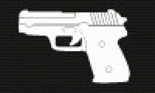 P228