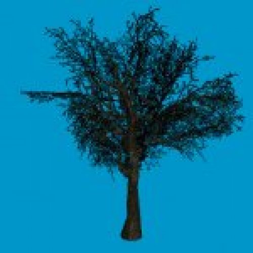 jn_eviltree_02_02_bb