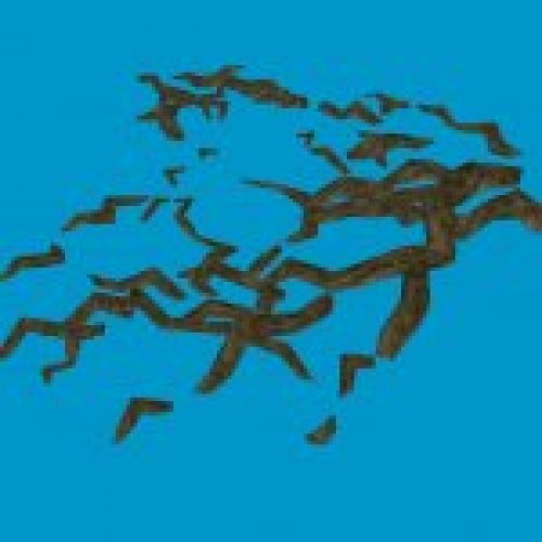 jn roots 02