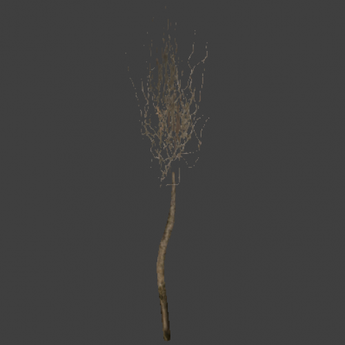 l10_swamp_kamysh_tree1