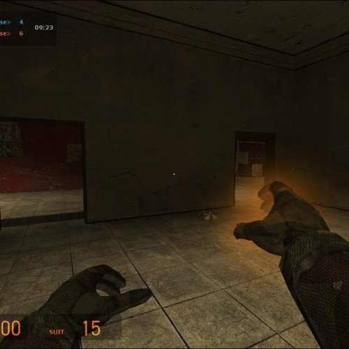 Camouflage Hl2 Hands