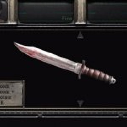 Blood Stained Knife