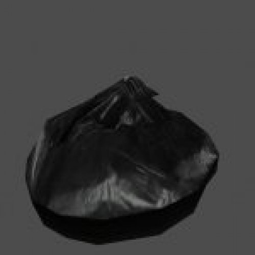 bag1